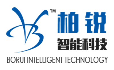 东莞市柏锐智能科技有限公司最新为视觉点胶机和视觉点钻机设计制作的LOGO